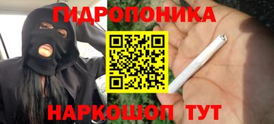 ПСИЛОЦИБИНОВЫЕ ГРИБЫ Бузулук