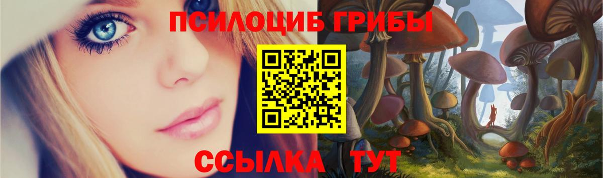 Галлюциногенные грибы GOLDEN TEACHER Муром