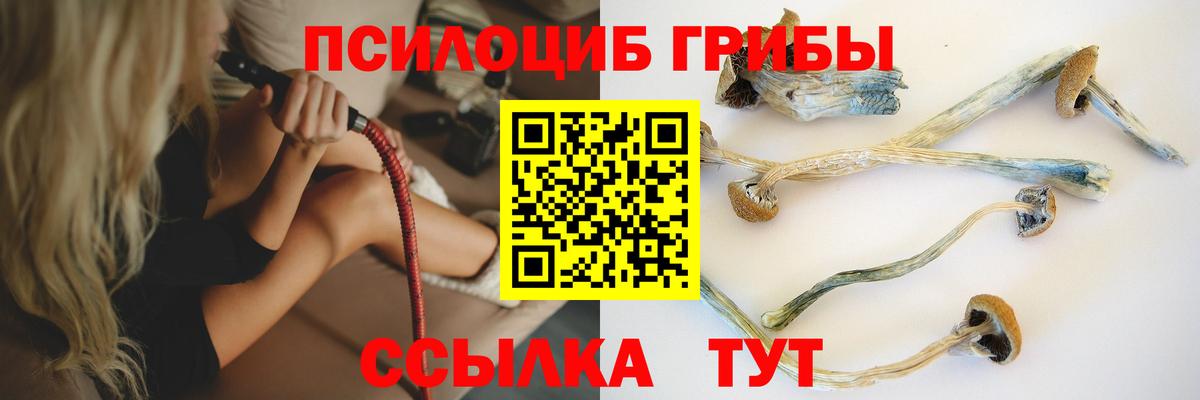 Галлюциногенные грибы Cubensis  Вход с VPN  Муром 